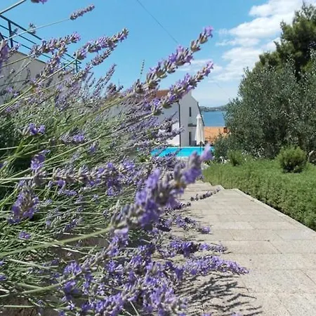 Goja Apartment