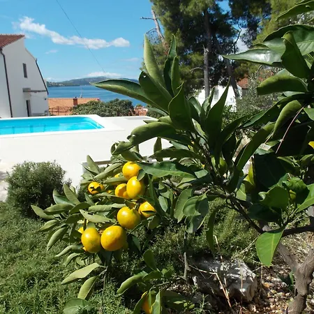 Goja Trogir