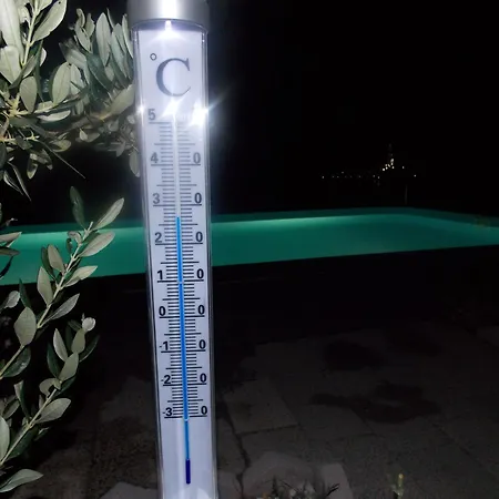 شقة Goja تروغير